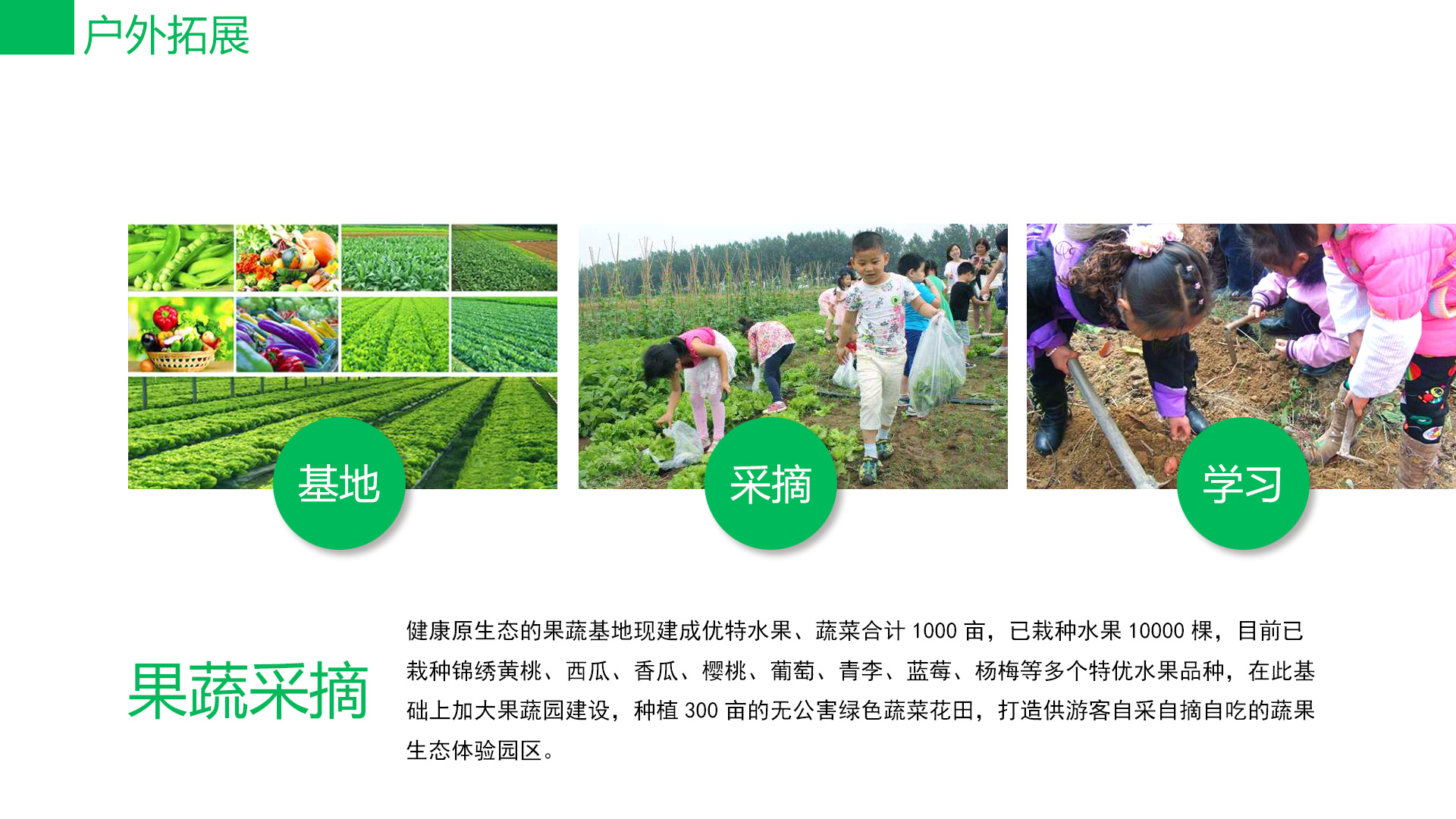 图片47.jpg